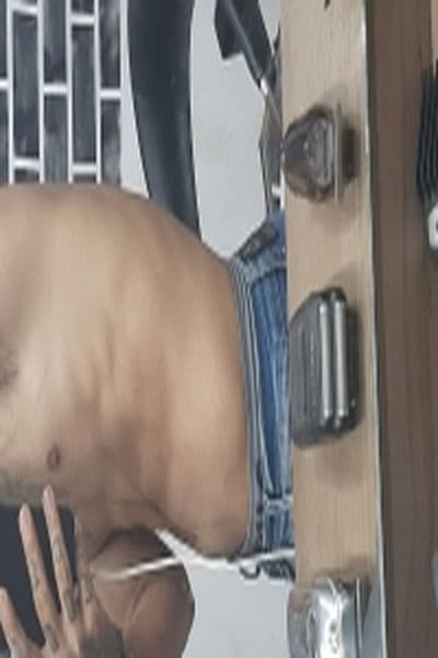 Novinho